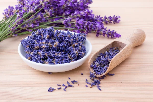 Nến Thơm Xông phòng phong thủy hương Hoa Lavender